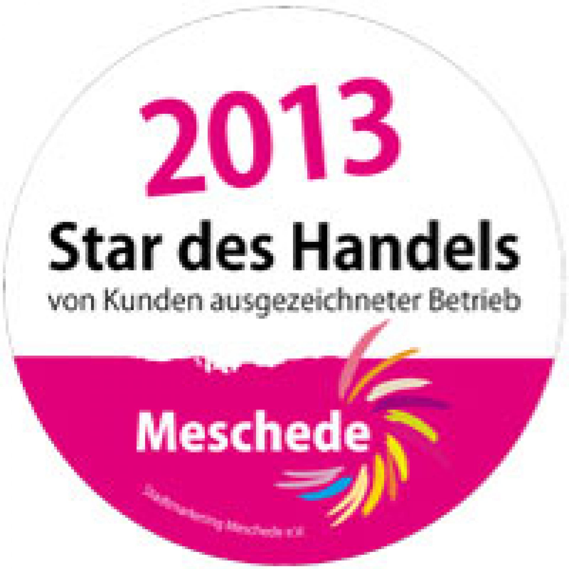 Star des Handels 2013 • Auszeichnung • Möbel Knappstein