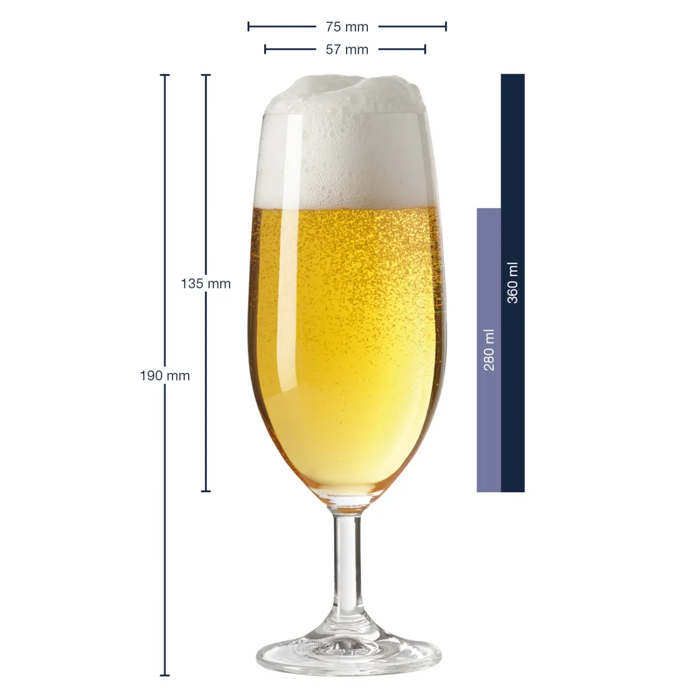 Leonardo Bierglas Daily 350 ml Leonardo Bierglas DAILY 360 ml klar